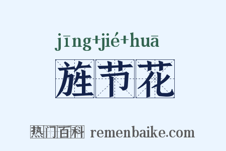 旌节花是什么意思的图片
